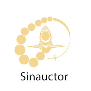 Sinauctor