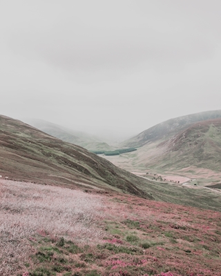 Cairngorms 