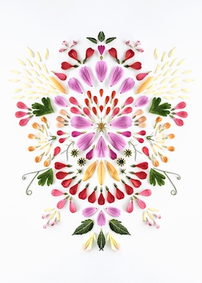 Blomstermandala II