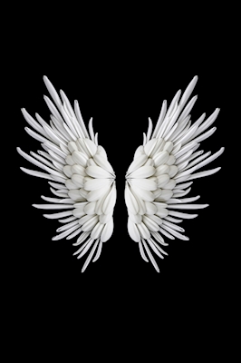 White Wings