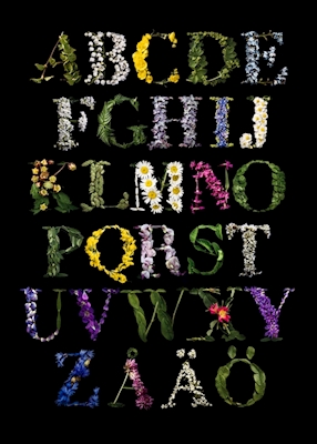 alphabet