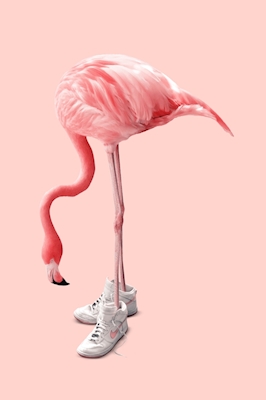 Sneaker Flamingo