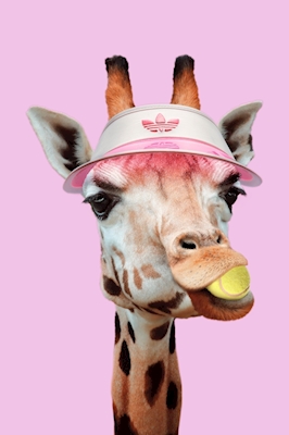 Tennis Giraff